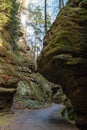 Forest road, Saxon Switzerland