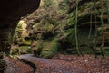 Forest road, Saxon Switzerland