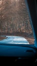 Forest road seen from car