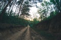 Forest road in the summer evening forest. Royalty Free Stock Photo