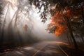 Forest road with sun rays in autumn Royalty Free Stock Photo