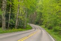 Forest road on a sunny summer day. Finland, Lahti