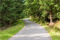 Forest road to Orle shelter in Jizera Mountains Royalty Free Stock Photo