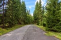 Forest road to Orle shelter in Jizera Mountains Royalty Free Stock Photo