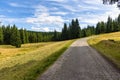 Forest road to Orle shelter in Jizera Mountains Royalty Free Stock Photo