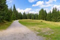 Forest road to Orle shelter in Jizera Mountains Royalty Free Stock Photo