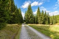 Forest road to Orle shelter in Jizera Mountains Royalty Free Stock Photo