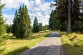 Forest road to Orle shelter in Jizera Mountains Royalty Free Stock Photo