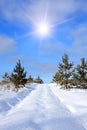 Forest road under snow Royalty Free Stock Photo