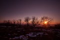 Forest Road Under Sunset Sunbeams. Beautiful sunset with orange and red clouds behind some coniferous trees. Azerbaijan, Caucasus Royalty Free Stock Photo