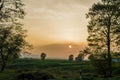 Forest Road Under Sunset Sunbeams. Beautiful sunset with orange and red clouds behind some coniferous trees. Close up. Azerbaijan Royalty Free Stock Photo