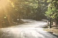 Forest Road Under Sunset Sunbeams. Lane Running Through The Autumn Deciduous Forest