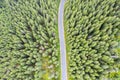 Forest road viewed from above