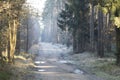 Forest road in the winter scenery Royalty Free Stock Photo