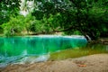 Forest, Rock - Object, Spring - Flowing Water, Springtime, Standing Water Royalty Free Stock Photo