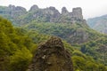 Forest and rock in Syunik province Armenia