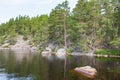 Forest and rocks at a lake