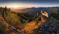 Forest and rocks mountain with sun at beautifull sunset - panorama, Slovakia Royalty Free Stock Photo