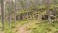 Rock and forest landscape sweden Royalty Free Stock Photo
