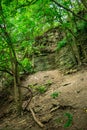 A forest with a rocky hillside Royalty Free Stock Photo