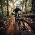 Forest Rush: A Thrilling Mountain Bike Adventure