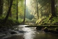 forest with rushing stream, providing habitat for fish and other aquatic species