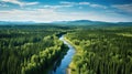 forest russian taiga clearings Royalty Free Stock Photo