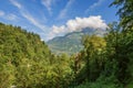 Forest in Saint-Gervais-Les-Bains with alpine mountains landscape Royalty Free Stock Photo