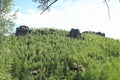 Forest and sandstone rocks in Decin region