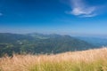 The forest from sawanna view