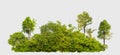 Forest scape picture with cut out from original background with selection or clipping path, one click selection, hight resolution