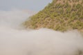 Forest and sea of clouds Royalty Free Stock Photo