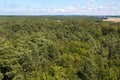 Forest seen from above - from a bird`s eye view