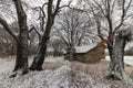 Forest shelter in winter on the Shumen Plateau