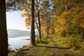 Forest on the shore of the lake with reflection in the water Royalty Free Stock Photo