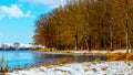 Forest on the shore river in sunny weather Royalty Free Stock Photo