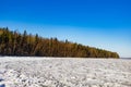 Forest on the shore of a snowy lake on a winter day Royalty Free Stock Photo