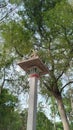 Forest shrine in the middle of the forest