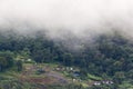 Forest side view of a village with small houses.