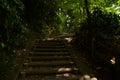 Forest Sidewalk at Yaho Japan