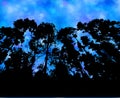 Forest silhouette against blue night sky vector background