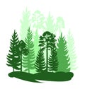 Forest silhouette scene. Landscape with coniferous trees. Beautiful green view. Pine and spruce trees. Summer nature Royalty Free Stock Photo