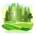 Forest silhouette scene. Landscape with coniferous trees. Beautiful green view. Pine and spruce trees. Summer nature Royalty Free Stock Photo