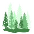 Forest silhouette scene. Landscape with coniferous trees. Beautiful green view. Pine and spruce trees. Summer nature Royalty Free Stock Photo