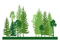 Forest silhouette scene. Landscape with coniferous trees. Beautiful green view. Pine and spruce trees. Summer nature Royalty Free Stock Photo