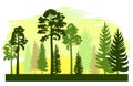 Forest silhouette scene. Landscape with coniferous trees. Beautiful morning view. Pine and spruce trees. Summer nature Royalty Free Stock Photo