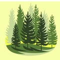 Forest silhouette scene. Landscape with coniferous trees. Beautiful view. Pine and spruce trees. Summer nature. Isolated Royalty Free Stock Photo