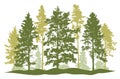 Forest, silhouette of spruce trees, pines, bushes. Beautiful nature, woodland. Vector illustration Royalty Free Stock Photo