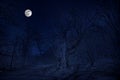 Forest in silhouette with starry night sky and full moon ,Halloween background. Spooky forest with full moon Royalty Free Stock Photo