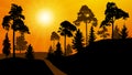 Forest silhouette of a sunset. Park road trees. Vector illustration.